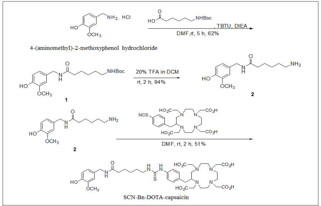 전구물질 SCN-Bn-DOTA-캡사이신 합성 전체 스킴
