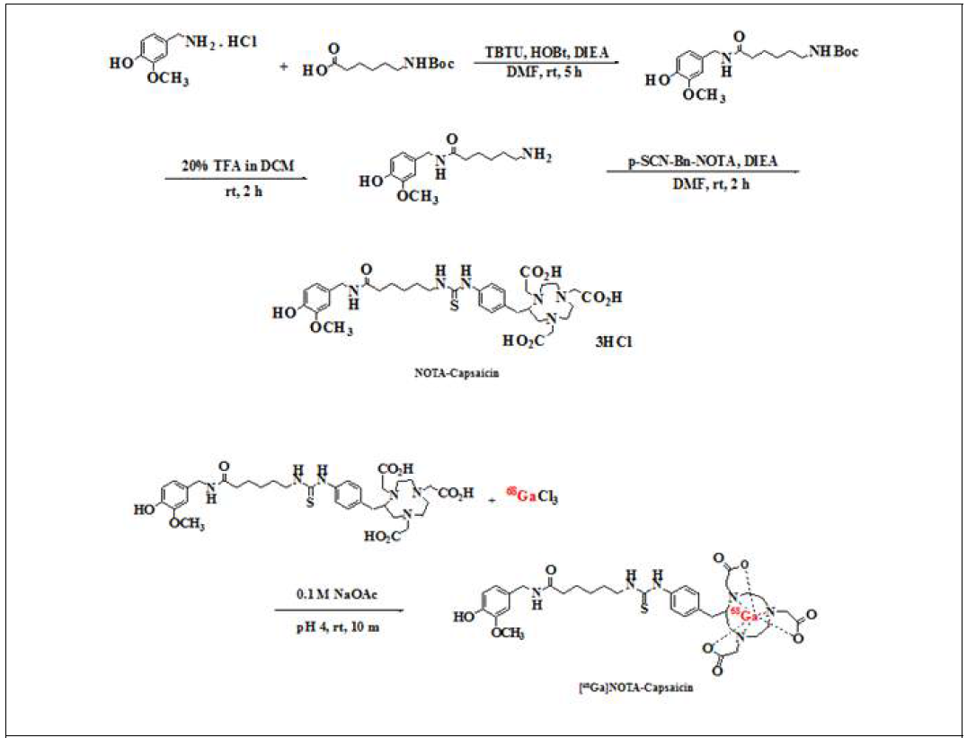 Ga-69-p-SCN-Bn-NOTA-캡사이신 전체 합성 스킴