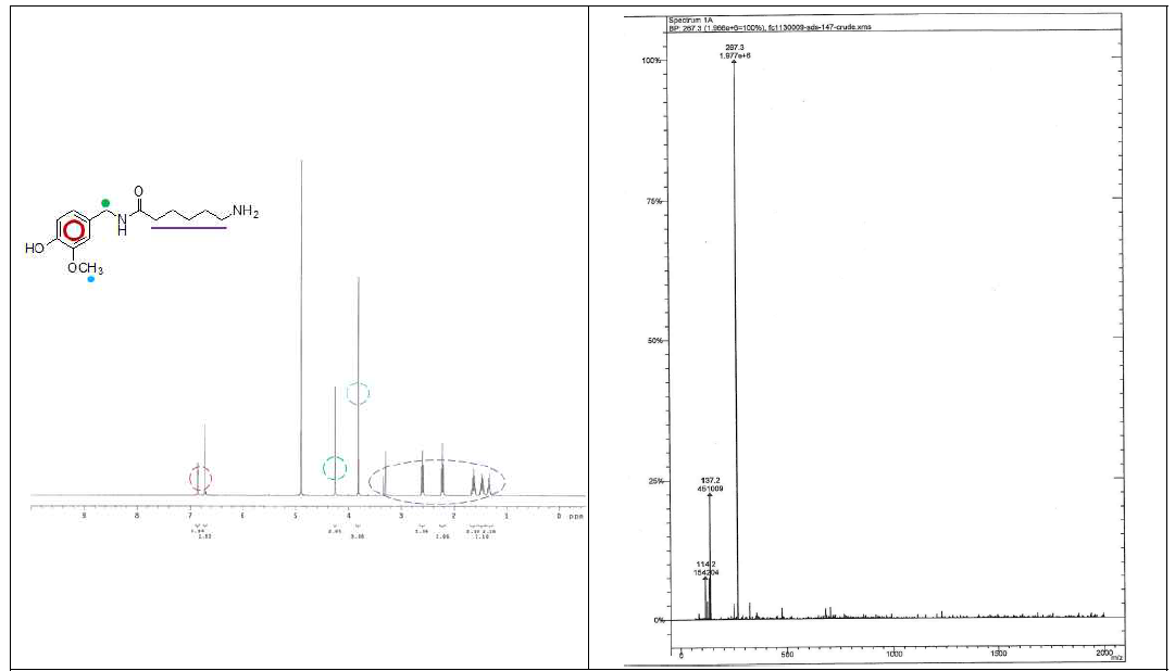 (6-amino-N-(4-hydroxy-3-methoxybenzyl)Hexanamide) 의 1H-NMR 스펙트럼 및 질량분석 스펙트럼