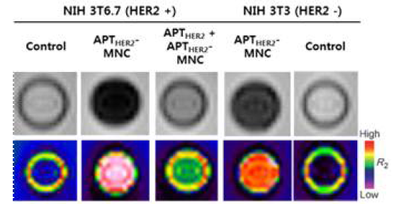 APTHER2-MNC의 NIH3T6.7세포에서의 competiton study 및 NIH3T3 세포에서의 MRI 이미지