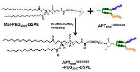 APTEDB-PEG2000-DSPE 컨쥬게이트의 합성 모식도