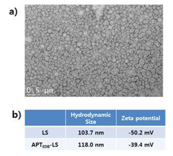 a) 리포좀의 TEM 이미지 b) 리포좀과 앱타이드가 결합된 리포좀 나노입자 사이즈와 Zeta potential 값