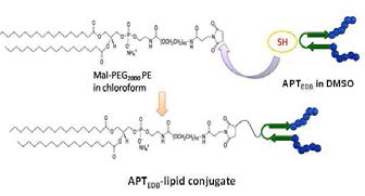 APTEDB-PEG-phospholipid 합성모식도