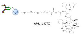 APTEDB-DTX 컨쥬게이트 모식도