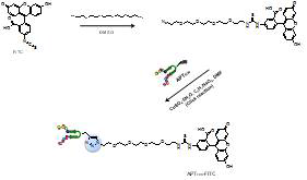 APTEDB-FITC의 합성 모식도