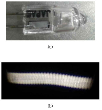 (a) 10W tungsten-halogen lamp bulb (b) filament 잔상