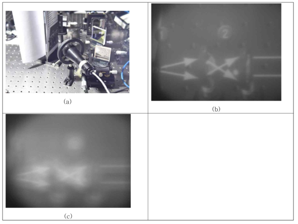 이미지 정보와 interferogram의 동시 획득 (a) 실험 셋업, (b) 이미지 정보, (c) interferogram 이미지