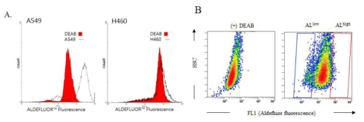 (A)Aldefluor fluorescence in A549 and H460 cells,(B)Sorting ALDH+ and ALDH- by FACS