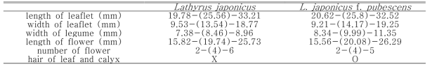 Morphological character of Lathyrus japonicus and L. japonicus f. pubescens