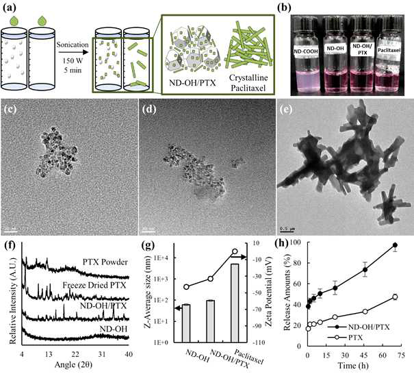 Schematic pictures of formation of ND-OH/Paclitaxel (ND-OH/PTX) nanocomplex and crystalline PTX. Green drops indicate concentrated PTX in ethanol solution (a). Dispersion stability of ND-COOH, ND-OH, nanocrystalline PTX and ND-OH/PTX complex in distilled water and DMEM buffer (b). TEM image of ND-OH agglutinates with their individual sizes ranging from 4 to 5 nm in diameter (c). TEM images of ND-OH/PTX complex (d) and paclitaxel crystal (e). PXRD spectra of anhydrous PTX powder, lyophilized PTX, ND-OH/PTX complex, and ND-OH particles (f). Z-average size and zeta potential of ND-OH, ND-OH/PTX complex, and paclitaxel (g). Invitro drug release profiles of crystalline PTX and ND-OH/PTX complex(h)