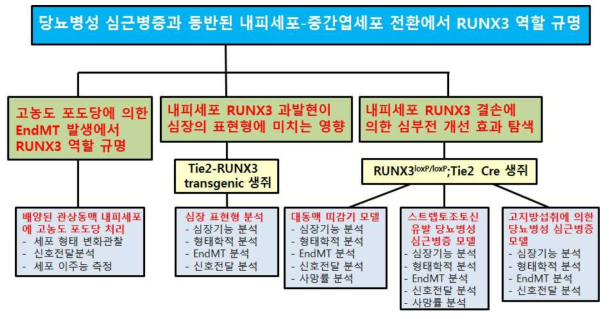 연구개요 요약