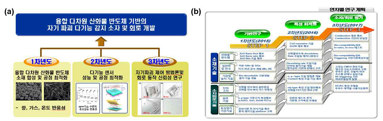 (a) 본 연구과제의 연차별 연구목표와 (b) 상세 진행 범위 및 진행에 대한 모식도