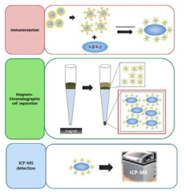 magnetophoretic cell separation 및 측정의 전체적인 구도