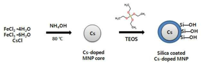 Synthesis of Cs-doped magnetic nanoparticle core with silica shell (Cs의 예)