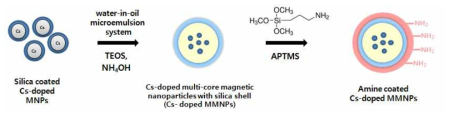 Synthesis of amine-coated Cs-doped multi-core magnetic nanoparticle (Cs의 예)