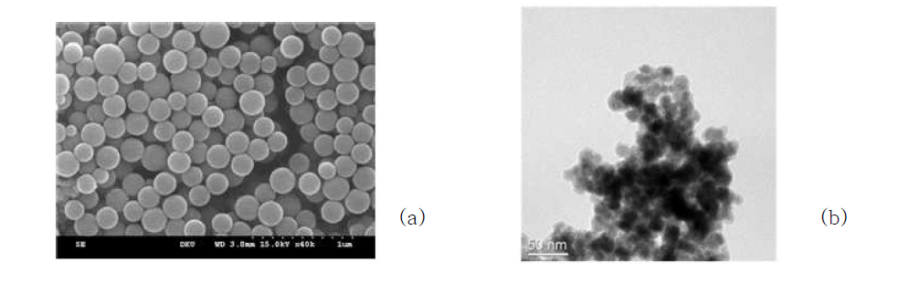 SEM images of (a) silica coated Cs-doped multicore magnetic nanoparticle and (b) silica coated Cd-doped magnetic nanoparticles