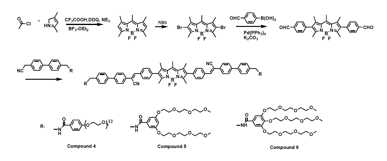 양친매성 BODIPY 유도체의 합성스킴 및 분자 구조