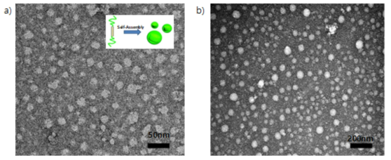 TEM 사진. (a) compound 4, (b) compound 6. 수용액 (0.0001wt%)으로 샘플을 TEM grid위에 casting 한 뒤, 최종적으로 uranyl acetate(2 wt%) 수용액으로 negative staining을 하였음