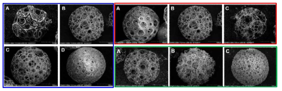 다양한 실험 조건(파란 박스 - PLGA 농도, 빨간 박스 – 수상과 유상의 부피비, 초록 박스 – 에멀전 제조 시 homogenization speed) 하에서 제조된 다공성 PLGA 미세입자를 전자주사현미경으로 관찰한 모습