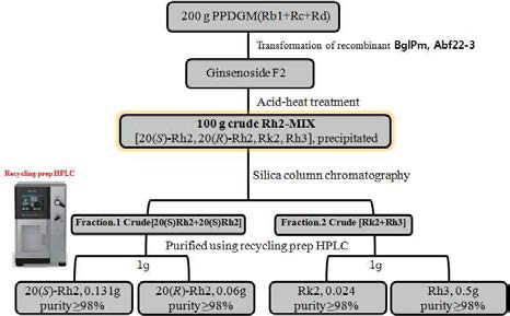 200g의 진세노사이드 PPD mix로부터 희귀 진세노사이드 Rh2(S,R), Rk2, Rh3의 획득 공정도