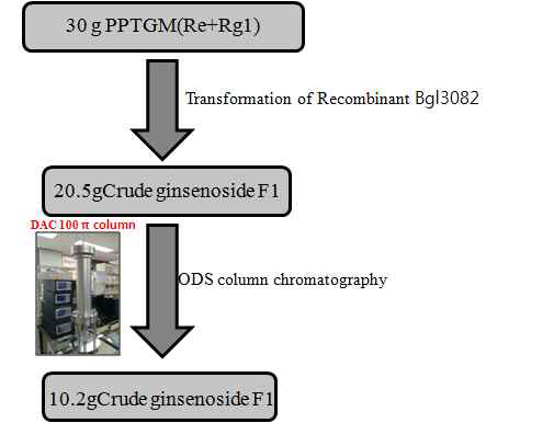 30g의 진세노사이드 PPT mix로부터 희귀 진세노사이드 F1의 획득 공정도