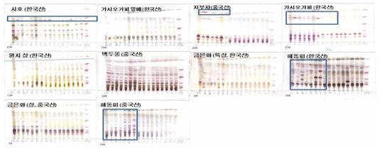 재조합 또는 상업효소 처리 후 한약재 우래 조사포닌 전환 양상