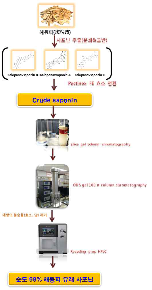 해동피 유래 사포닌 경제적 생물공정 기술 모식도
