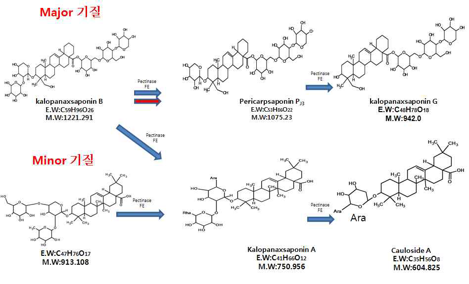 해동피 유래 사포닌의 효소 전환 경로