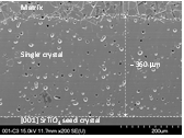 SEM micrograph of 0.75(Na0.5Bi0.5)TiO3- 0.25(Sr0.7Ca0.3)TiO3 single crystal grown at 1250°C for 5 h