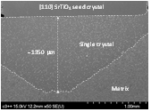 SEM micrograph of 0.75(Na0.5Bi0.5)TiO3- 0.25(Sr0.7Ca0.3)TiO3 single crystal grown on pre-sintered pellet