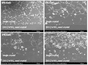 SEM micrograph of 0.75(Na0.5Bi0.5)TiO3-0.25SrTiO3 single crystals grown at 1250°C for 5 h with addition of 0-3 mol% CuO