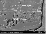 Single crystal of 0.96(K0.48Na0.52)NbO3-0.03[Bi0.5(Na0.7K0.2Li0.1)0.5]ZrO3-0.01(Bi0.5Na0.5)TiO3 grown on a [110] SrTiO3 seed crystal