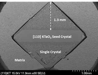 SEM micrograph of a KNN-BNKLZ-BNT single crystal grown on a [110] KTaO3 seed crystal at 1150°C for 20 h