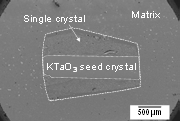 SEM micrograph of a KNNS-BNKZ single crystal grown on a [110] KTaO3 seed crystal at 1150°C for 20 h