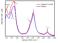 Raman spectra of KNNS-BNKZ single crystal and its matrix at 25°C