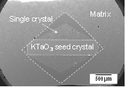 SEM micrograph of a KNNS-BNKZ single crystal grown on a [110] KTaO3 seed crystal at 1150°C for 20 h in O2