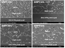 SEM micrographs of NBT-25ST samples sintered at 1100-1250°C for 10 hours