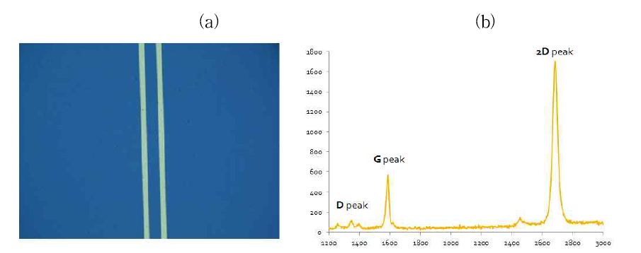 4점 측정용 기판 위의 질소 치환 도핑 그래핀의 광학 현미경 이미지(a)와 라만 스펙트럼(b) (가로축: Raman shift(cm-1), 세로축: Intensity)