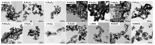 Transmission electron microscopyimages of REO NPs. 10 REO NPs and 4 control particles were dispersed in DW