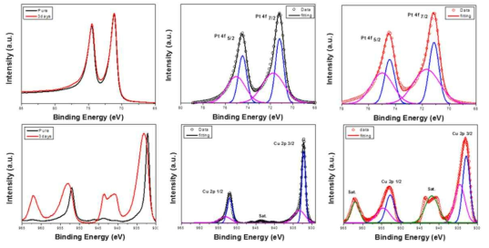 Pt전극과 Cu 전극의 XPS 분석 결과