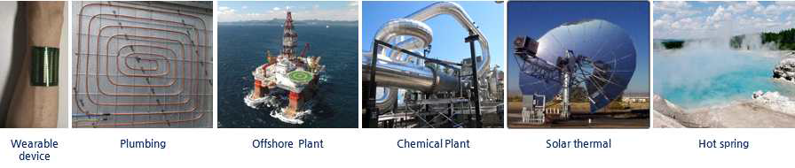열전기화학 전지의 적용대상