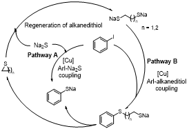 Plausible reaction pathway