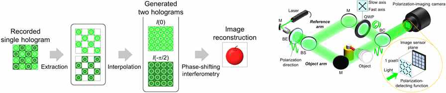 Parallel phase shift 디지털 홀로그래피