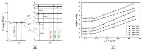 Yb와 Er이 첨가된 형광체에 대한 (a) 상방변환에 의한 형광메카니즘 체계도 및 (b) 펌핑광 세기의 변화에 따른 상방변환 형광 세기의 변화
