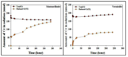 Montmorillonite와 vermiculite의 kinetic test