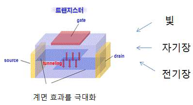 계면의 효과를 이용한 다기능 소자의 모식도