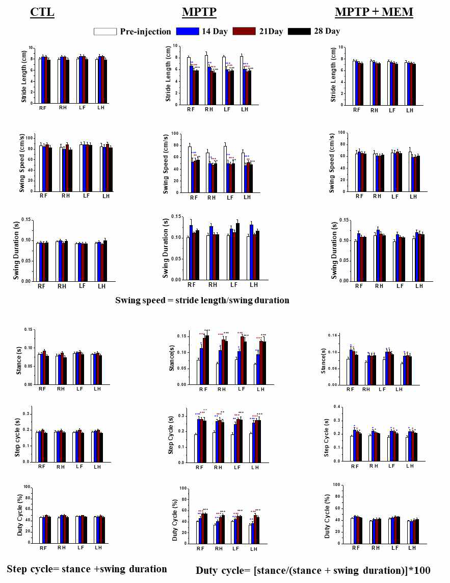 Effects of memantine on MPTP-induced gait deficiency. All the impairment of gait behavior in MPTP-injected mice was ameliorated by the treatment of memantine, an extrasynaptic NMDAR antagonist