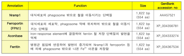 철(iron)의 수송, 저장 및 조절과 관련된 단백질과 기능