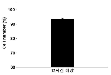 무중력 삼차원 배양기를 이용한 12시간 배양 시 응집체로 형성되는 응집체의 비율