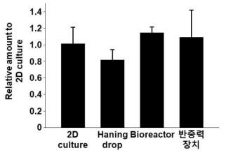 qRT-PCR을 이용한 cell apoptosis 인자 발현량 비교 (Caspase-3)